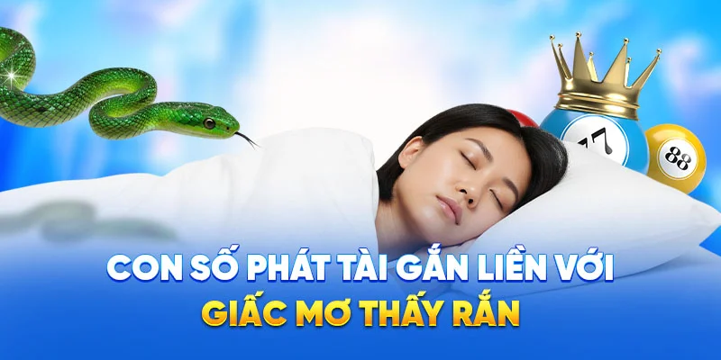 Nằm Mơ Thấy Rắn - Giải Mã Giấc Mơ Mang Thông Điệp Gì 2025 3 Con số phát tài gắn liền với giấc mơ thấy rắn